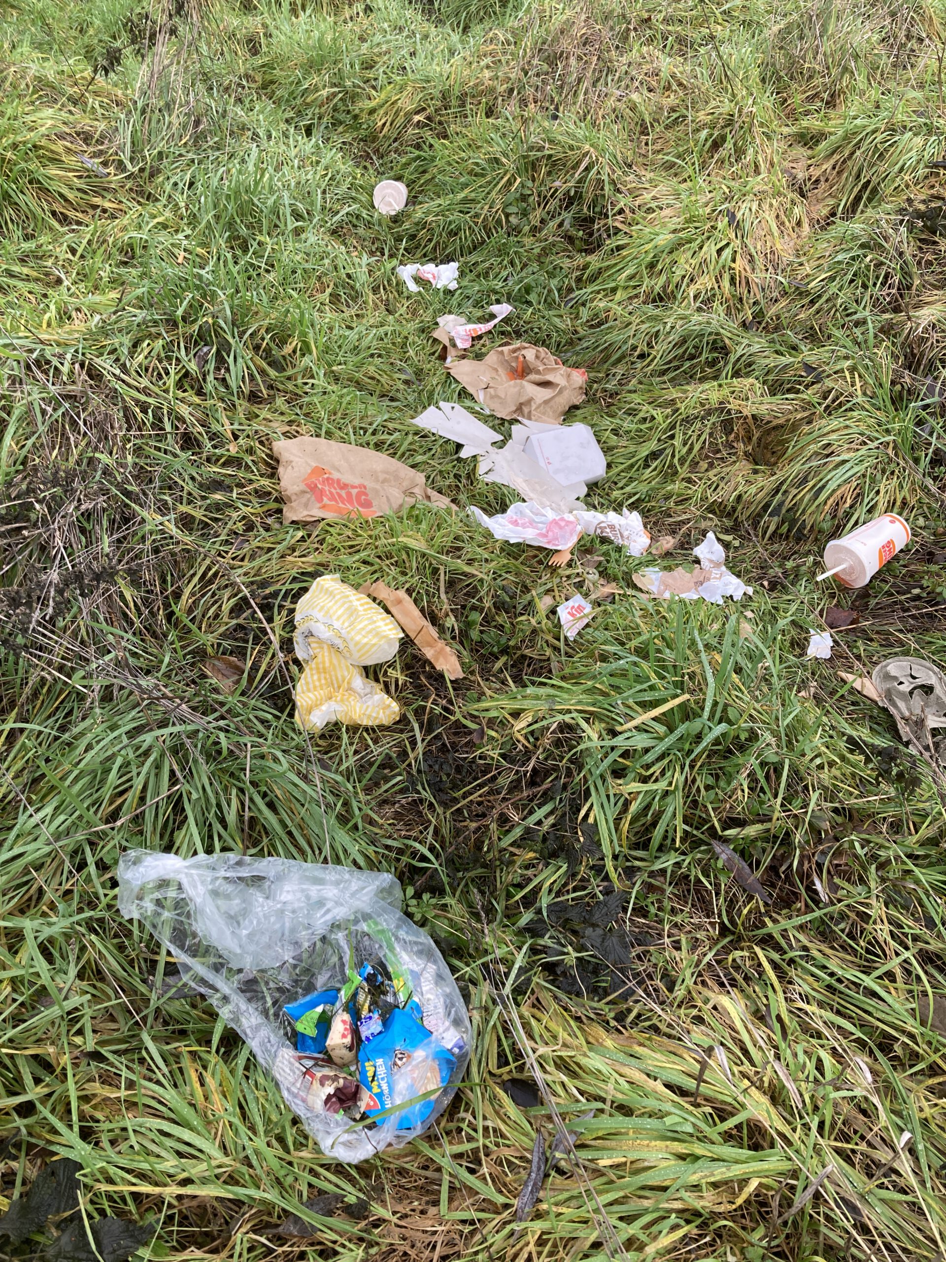 Cleanup Müll wegsammeln für eine gesunde Zukunft Bund für Umwelt und